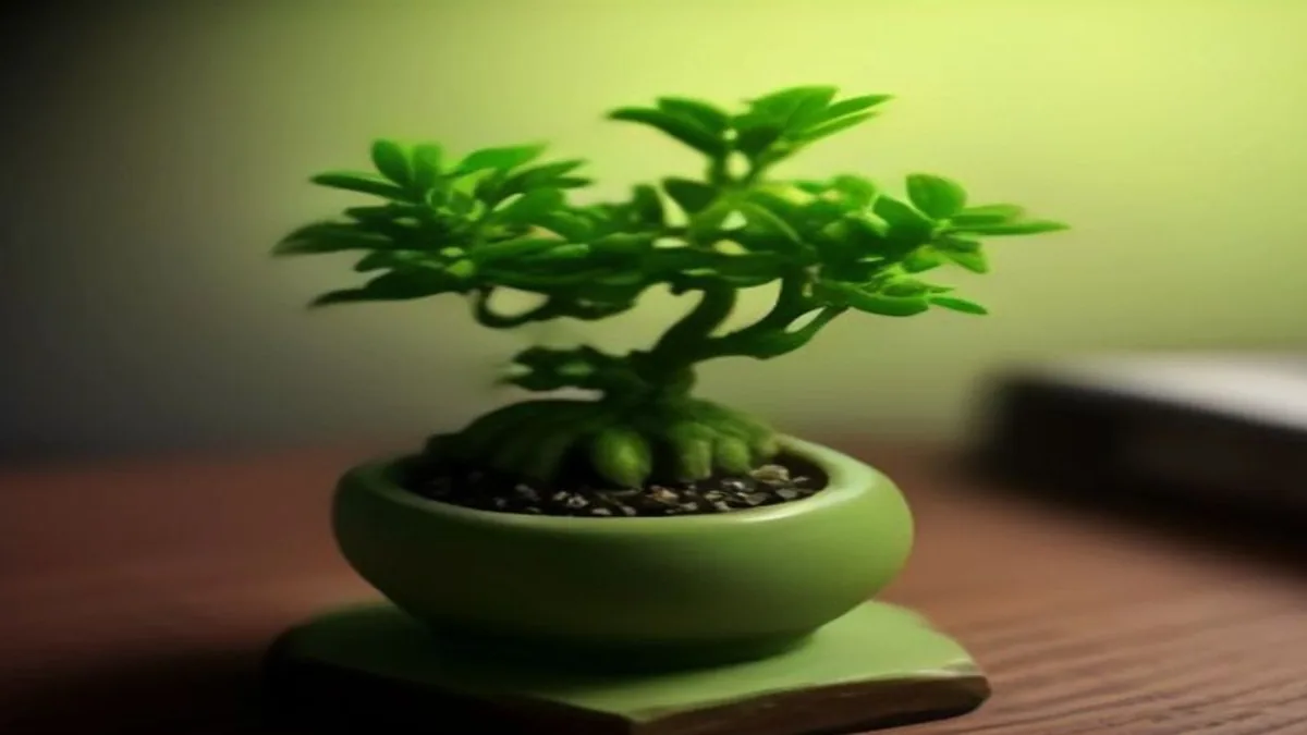 27 миллиардов параметров в 6 гигабайтах: разбор Bonsai 2